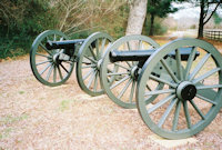 Cannon front view - click here for a larger image...